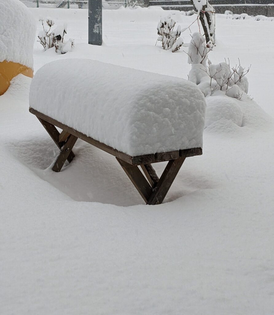 大雪の様子