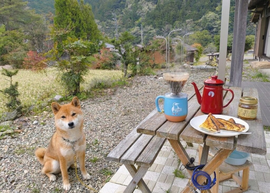 田舎の広い庭でおうちテラスモーニングを柴犬と楽しんでいる