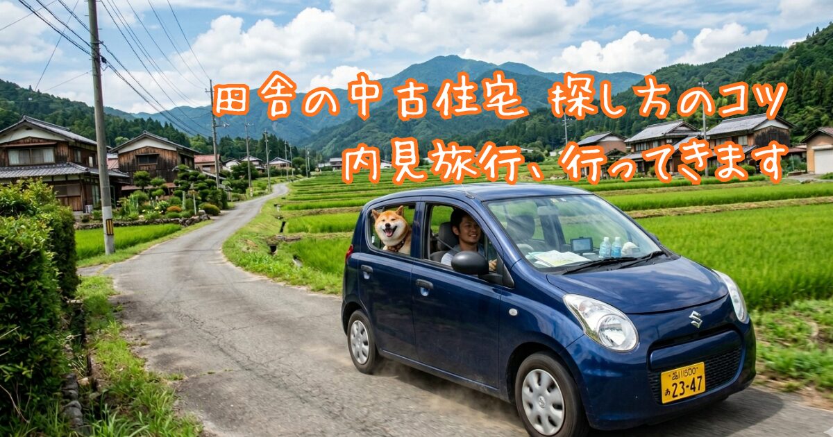 車に乗る柴犬