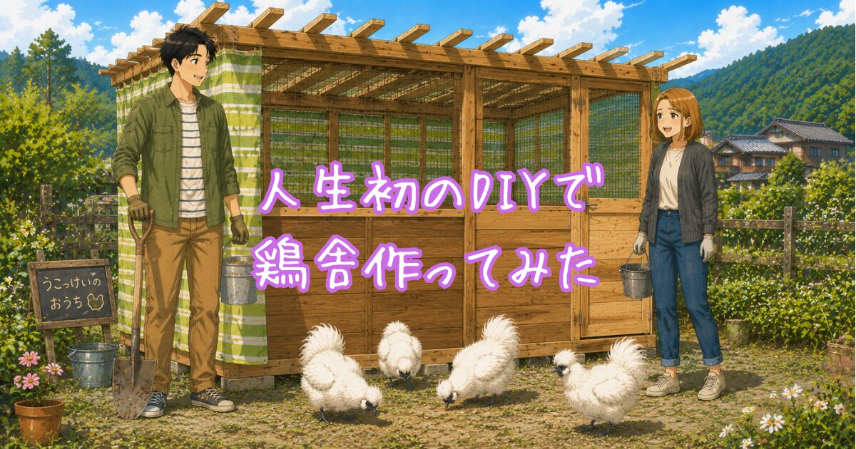 鶏舎と夫婦と烏骨鶏のイラスト