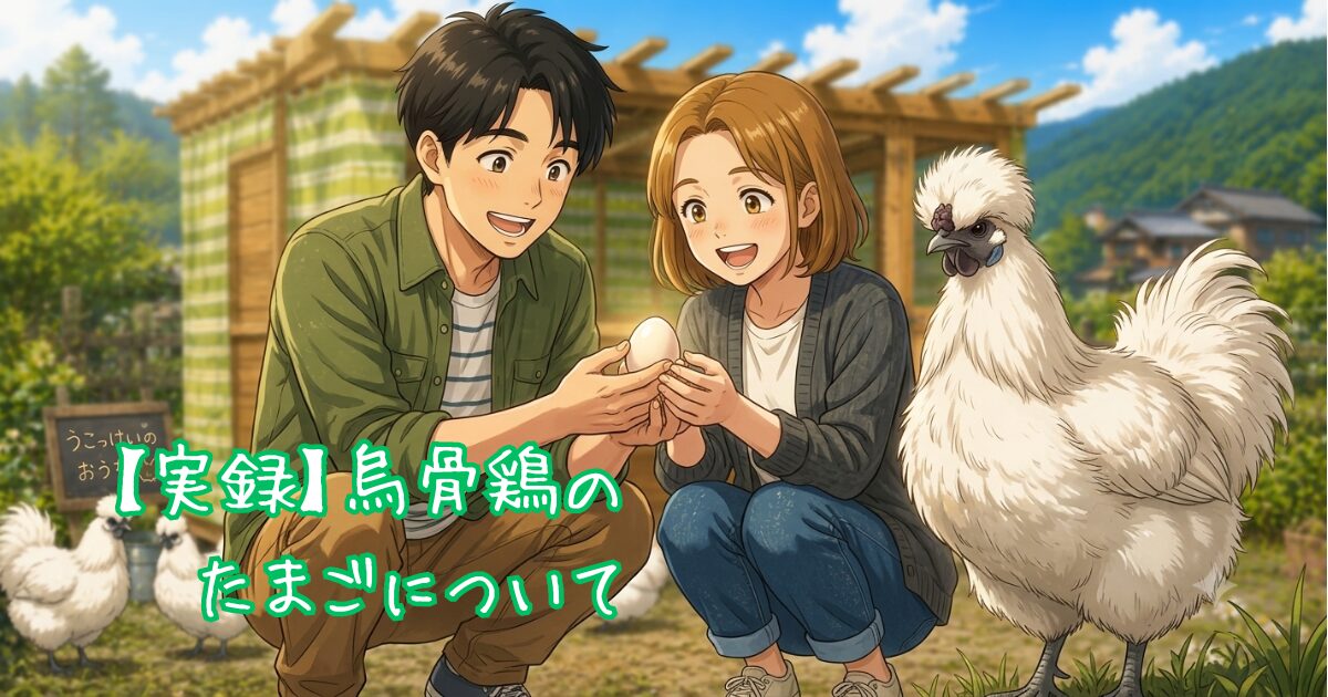 烏骨鶏の卵が産まれて喜んでいる夫婦のイラスト