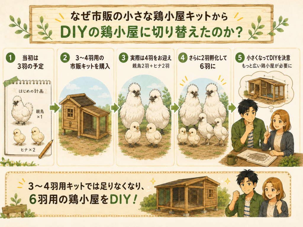 市販の小型鶏舎キットでは手狭になり、烏骨鶏6羽のためにDIY鶏小屋へ切り替えた流れをまとめた図解